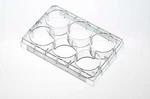 New Case Of 50PCS Avantor Vwr 10861-558 / 734 2779 Tissue Culture Plate 24-WELLS. Fixed Price $75.00.