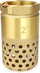 Brass Foot Valve 2IN Npt Spring Check Backflow Preventer Strainer Filter. Fixed Price $42.01.