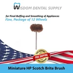 Hatho Miniature Scotch Brite Brush Package Of 12 Wheels. Fixed Price $28.19.