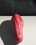 Nasco 5 Pound Anatomy Calf Muscle Replica (right Leg). Fixed Price $115.00.